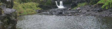 Freshwater pools at Kipahulu, fed by the Pipiwai Stream