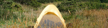 You can set up a temporary home in a park campground.