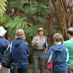 Plan your visit