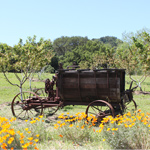 John Muir National Historic Site. Photo: Luther Bailey