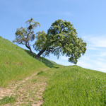 Mount Wanda. Photo: Luther Bailey