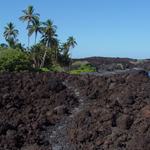 Trail near Kiholo