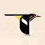 All About Birds