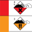 U.S. Avalanche Danger Scale