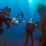 Park rangers presenting a live program from underwater.