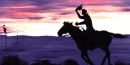 Silhouette of a Pony Express rider against a colorful sunset. Silhouette of a Pony Express rider against a colorful sunset.