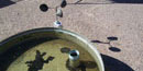 Evaporation Measurement Tank at Furnace Creek Evaporation Measurement Tank at Furnace Creek