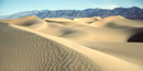 The MNesquite Dunes in Death Valley National Park The MNesquite Dunes in Death Valley National Park