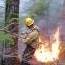 Fire Science Information
