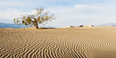 Death Valley sand dunes Death Valley sand dunes
