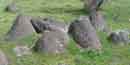 View of Melon Gravels found in fields and along the roads in Hagerman View of Melon Gravels found in fields and along the roads in Hagerman