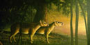 Image of a running rhino from the clarno formation Image of a running rhino from the clarno formation