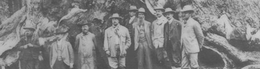 John Muir and Teddy Roosevelt at the Grizzly Giant sequoia in Yosemite NP.