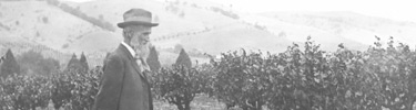 Muir in vineyard.