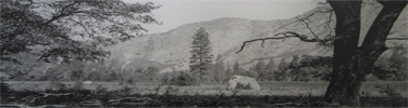 Hetch Hetchy Valley floor before the deluge.