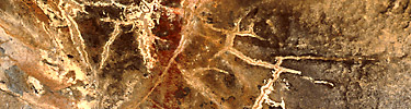 Natural etchings on rock