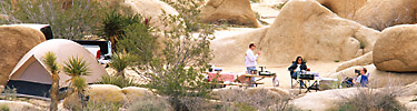 Jumbo Rocks Campground