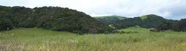 Rolling green spring hills of San Benito County, California