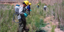 Lake Mead Exotic Plant Management Team Lake Mead Exotic Plant Management Team