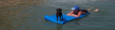Lab enjoying Lake Mead
