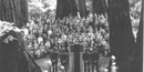 United Nations in Muir Woods National Monument in 1945 United Nations in Muir Woods National Monument in 1945
