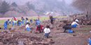 Volunteers working during Earthday restoring native habitat. Volunteers working during Earthday restoring native habitat.