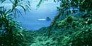 View out through the Tutuila Island rainforest toward the north shore’s rugged coastline. View out through the Tutuila Island rainforest toward the north shore’s rugged coastline.