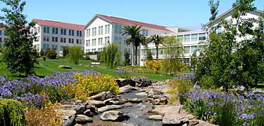 Letterman Digital Arts Center