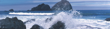 seastacks on the North Coast