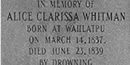 photo of Alice Clarissa's memorial marker photo of Alice Clarissa's memorial marker