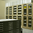 Fossil Collection