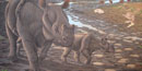 Image of an artistic rendition of a brontothere, Image of an artistic rendition of a brontothere,