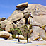 Filming Locations