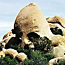 Skull Rock Trail
