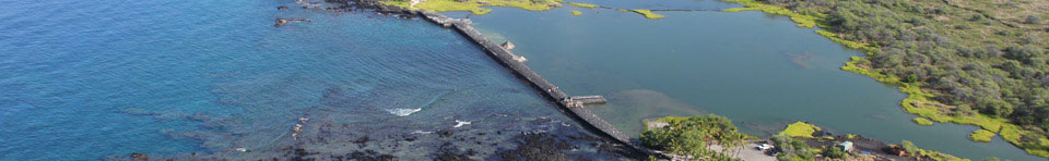 Kaloko fishpond wall is over 800 ft long and spans a natural cove