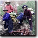 Walking Tours begin June 14th
