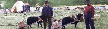 banner-dog-men