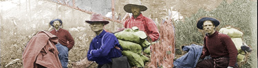 trail-hikers1-banner