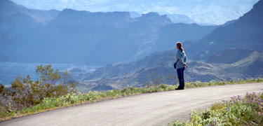 A lone hiker enjoying Lake Mead Vista by Luther Bailey