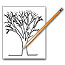 Lassen Volcanic Curriculum Materials