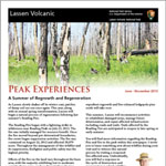 2013 Summer Newspaper