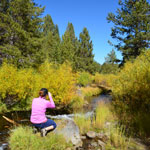 A visitor photographs Hat Creek colors in the fall.