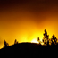 Reading Fire