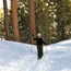 Manzanita Lake Winter Trails Guide