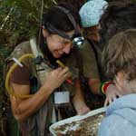 Teacher and students collecting spiders
