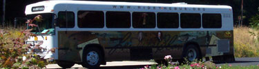 Sunset Transportation Shuttle