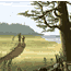 Discovery Trail