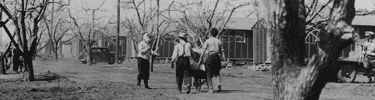 Newcomers arrive at Manzanar. Photo by Clem Albers.