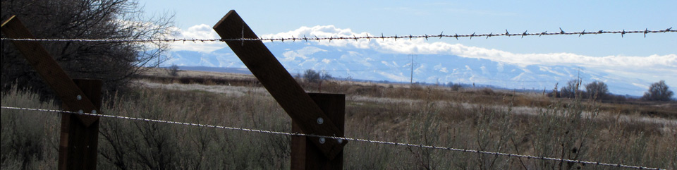 View through the barbed wire from inside the camp looking east.