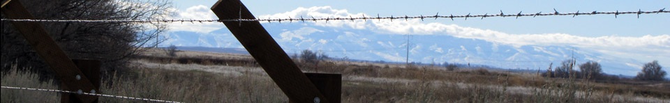 View through the barbed wire from inside the camp looking east.